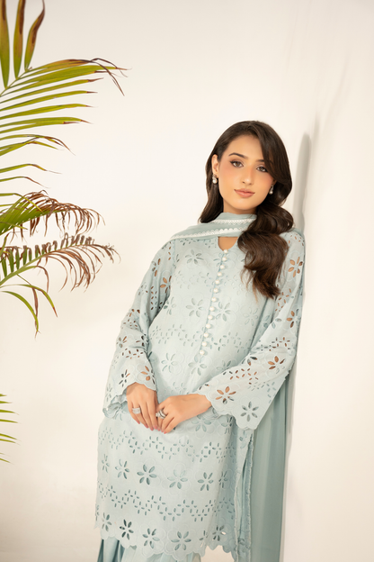 Powder Blue Schiffli Farshi Shalwar Set